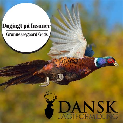 Dansk Jagtformidling (@danskjagtformidling.dk)